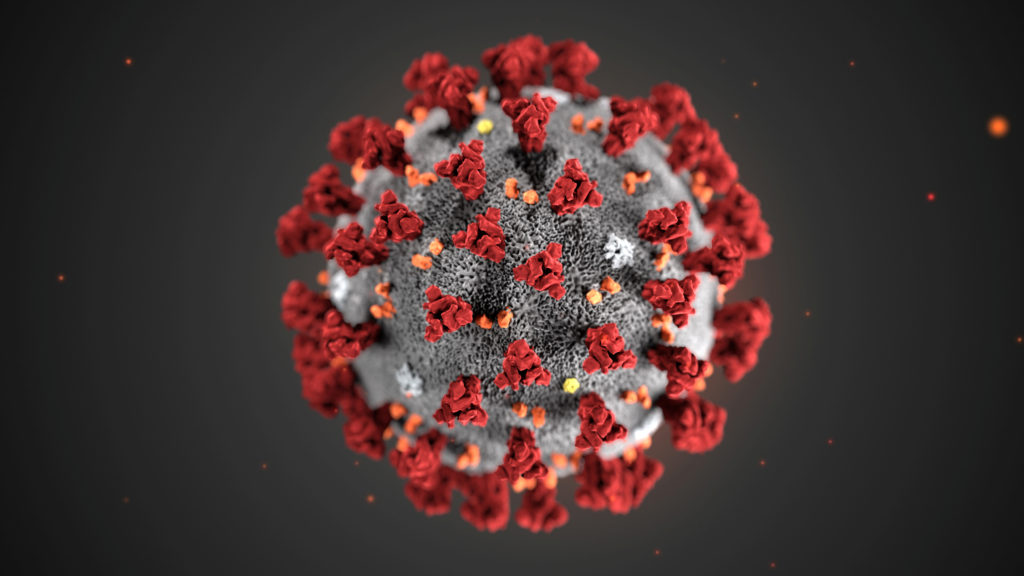Stars for a Day affected by Coronavirus 2020